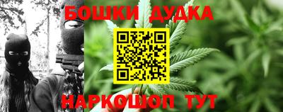 стафф Будённовск