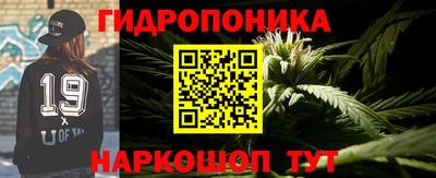 стафф Будённовск