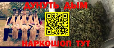 стафф Будённовск
